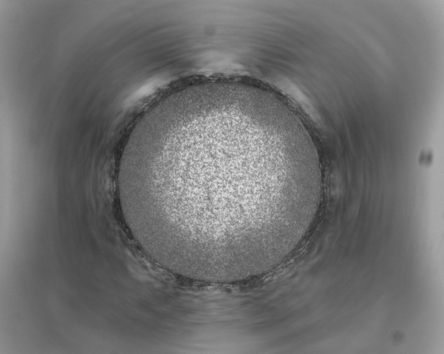 X0000096151063200802011228