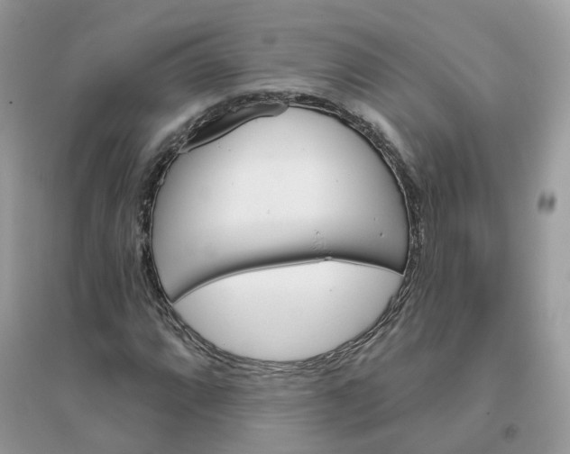X0000096151064200802011228