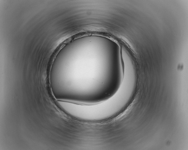 X0000096151065200802011228