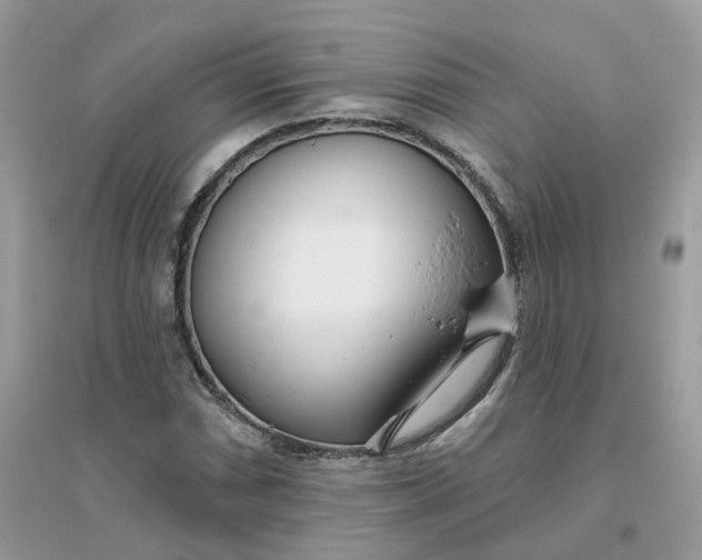 X0000096151066200802011228