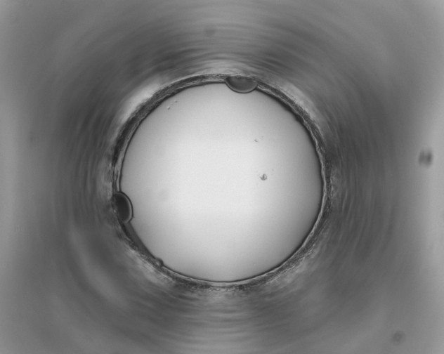 X0000096151067200802011228