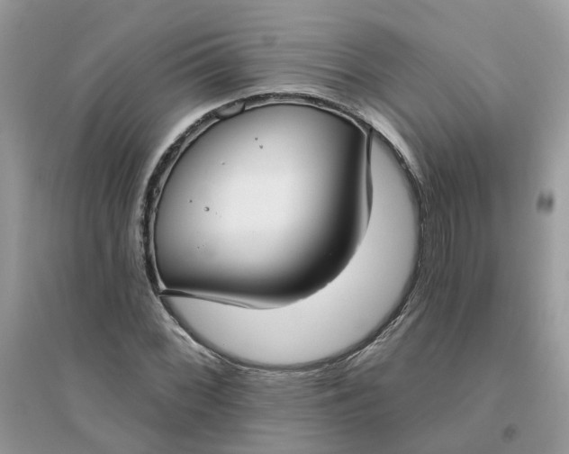 X0000096151068200802011227