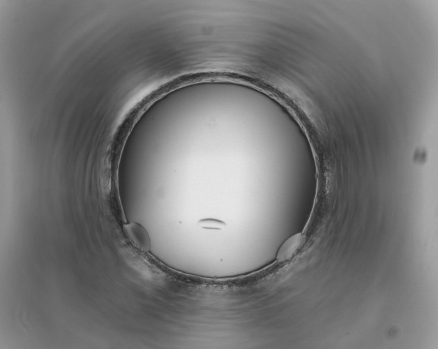 X0000096151069200802011227