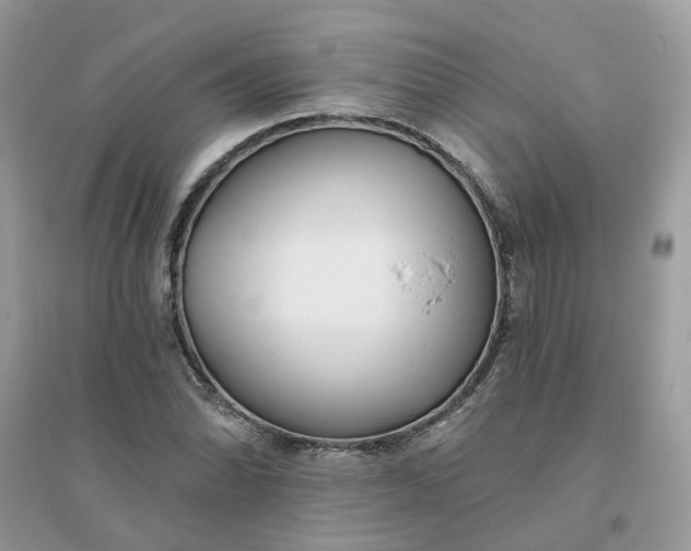 X0000096151070200802011227