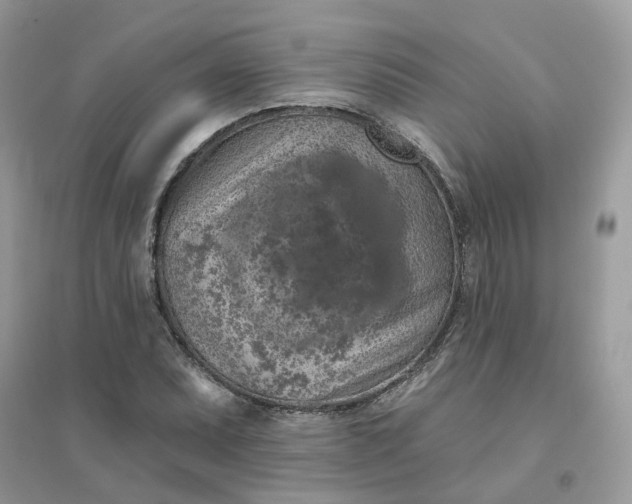 X0000096151071200802011227