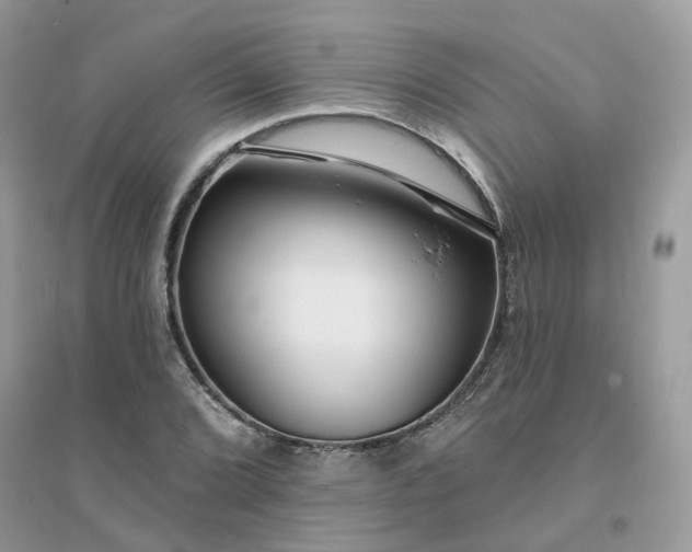 X0000096151072200802011227