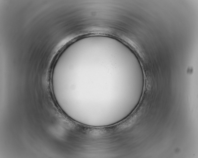 X0000096151074200802011227