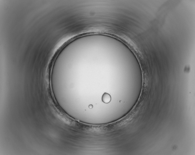 X0000096151078200802011227