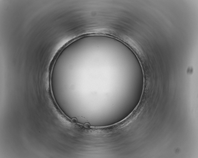 X0000096151079200802011227