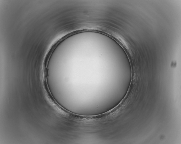 X0000096151080200802011227