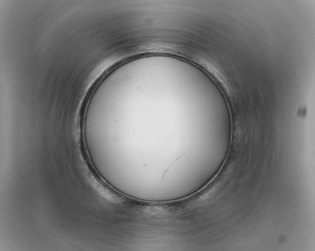 X0000096151082200802011227