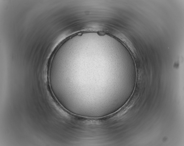 X0000096151083200802011227