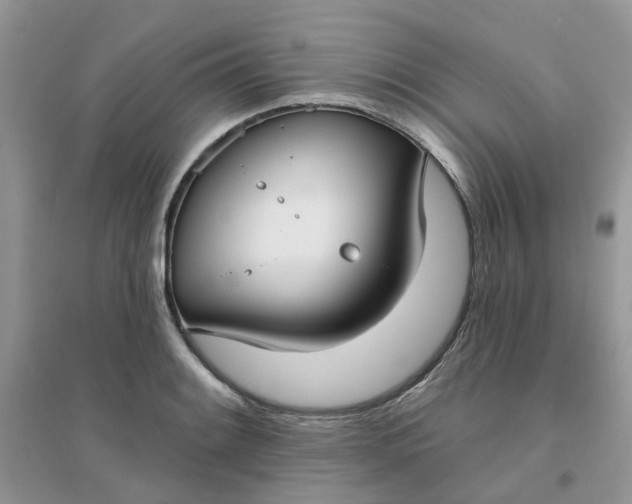 X0000096151084200802011227