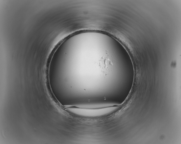 X0000096151085200802011227