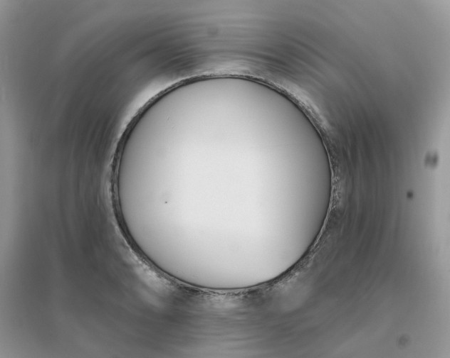 X0000096151086200802011227