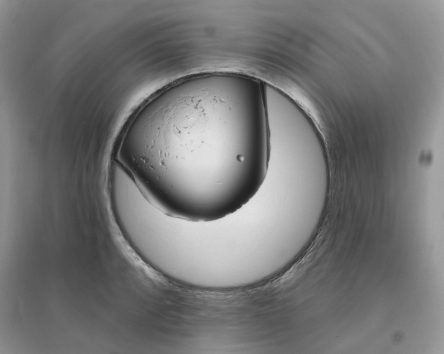 X0000096151088200802011227