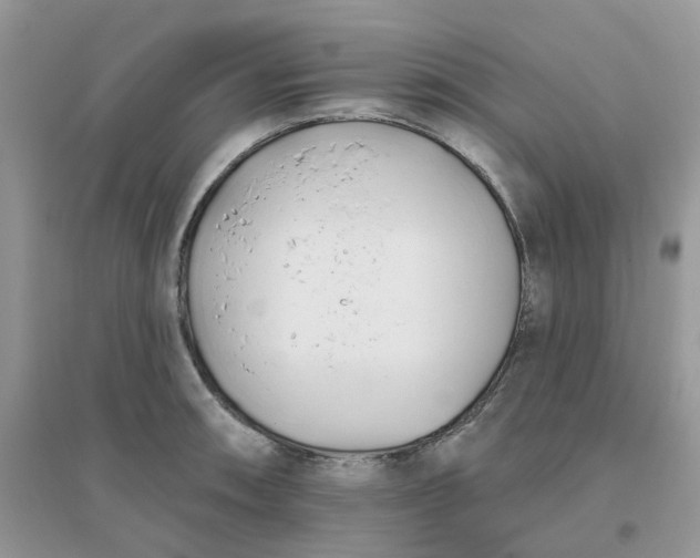 X0000096151090200802011227