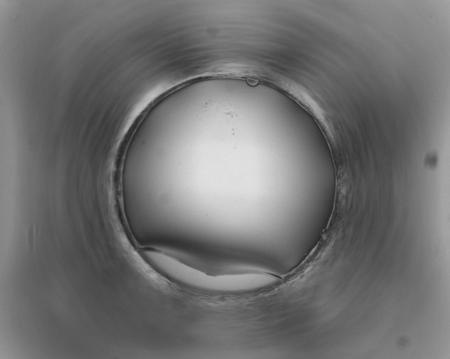 X0000096151091200802011227