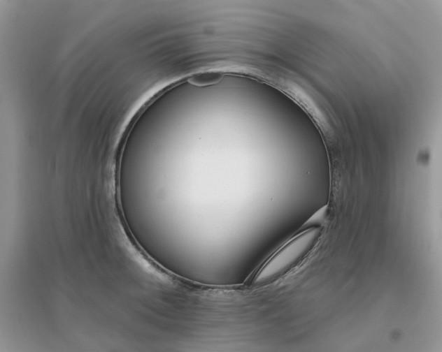 X0000096151092200802011227