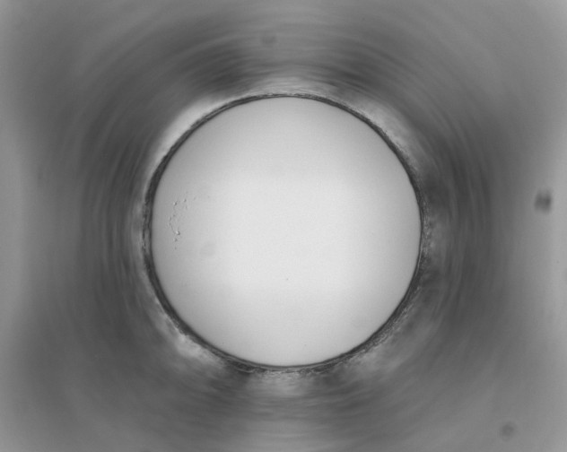 X0000096151094200802011227