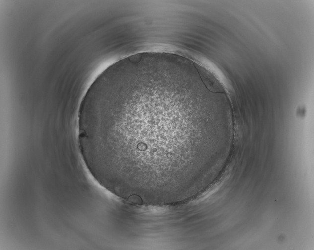 X0000096151095200802011227