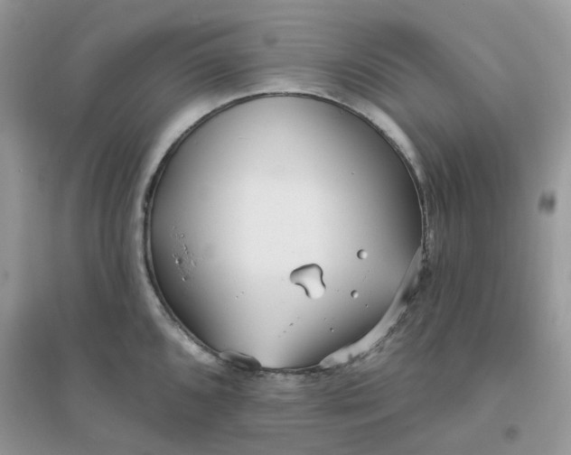 X0000096151096200802011227