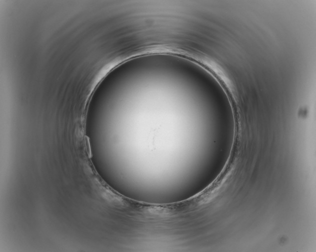 X0000096151097200802011227