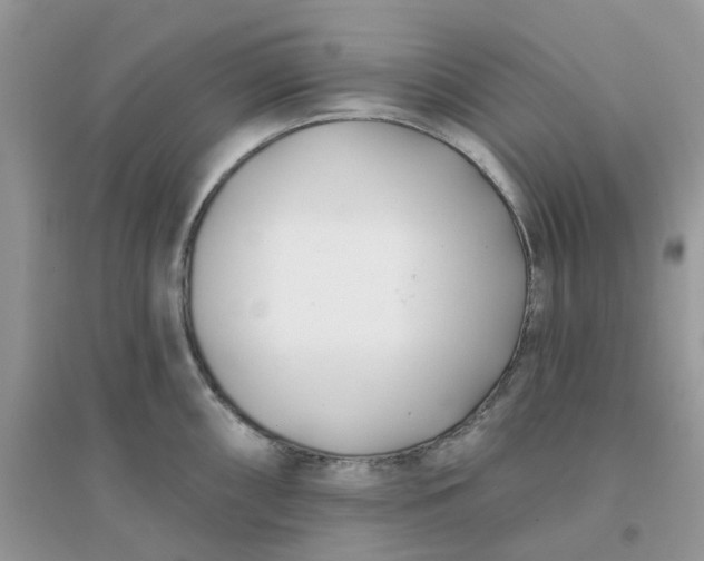 X0000096151098200802011227