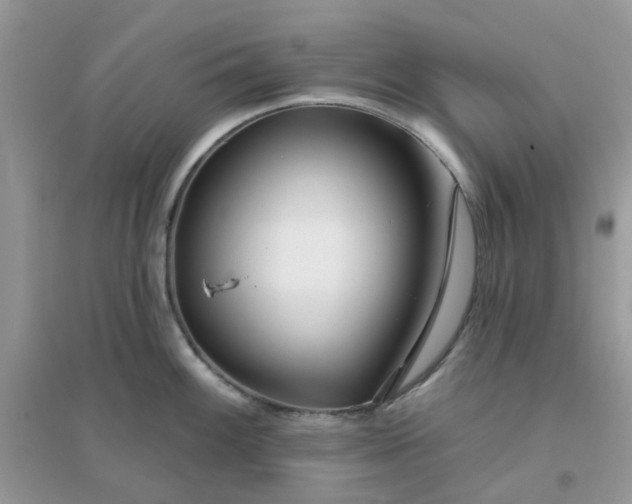 X0000096151100200802011227