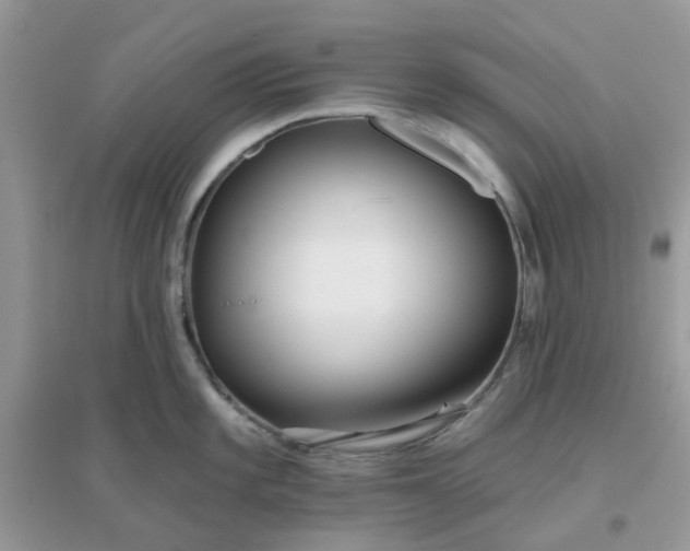 X0000096151101200802011227