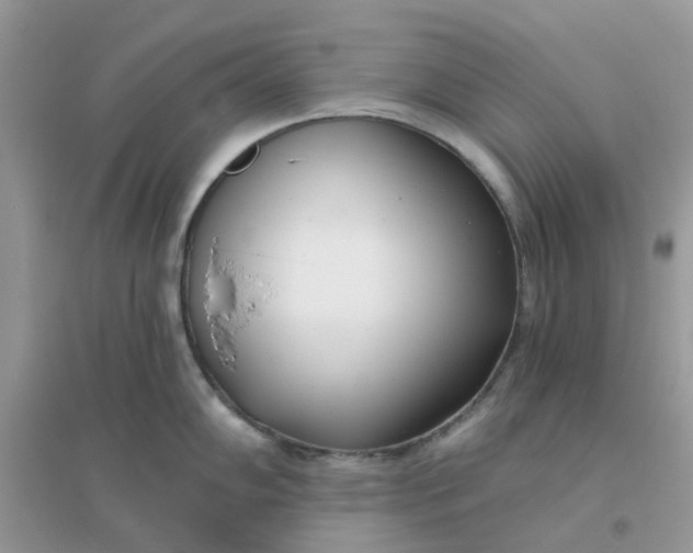 X0000096151102200802011227