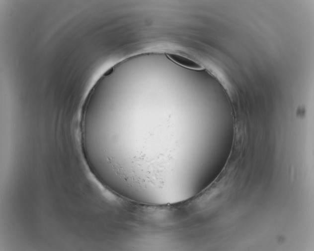 X0000096151103200802011227