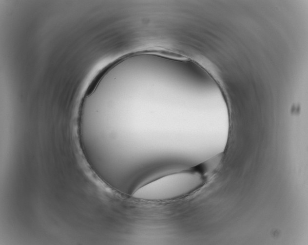 X0000096151104200802011227