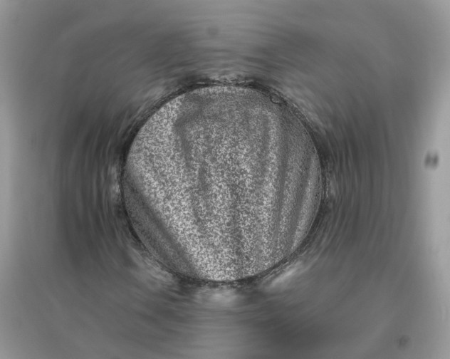 X0000096151106200802011226