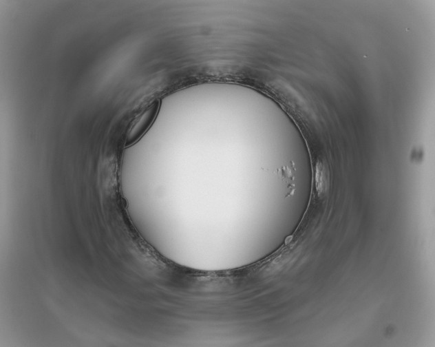 X0000096151107200802011226
