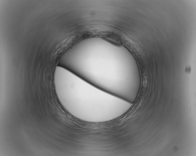 X0000096151108200802011226