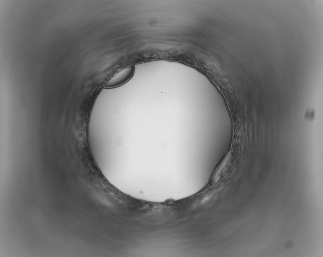 X0000096151109200802011226