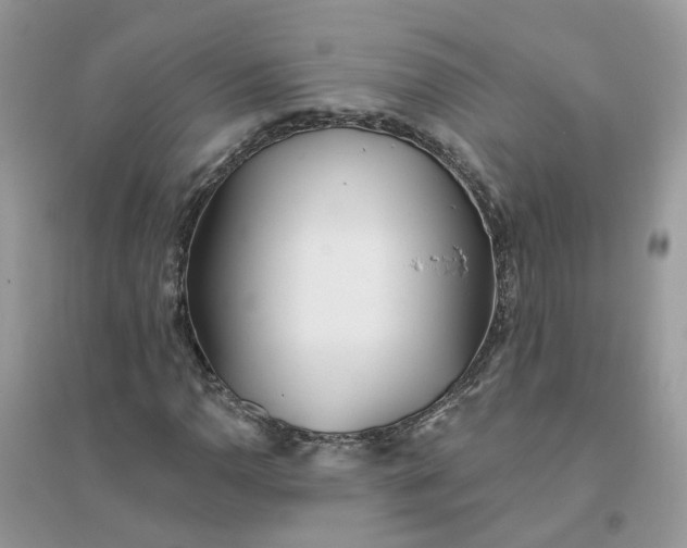 X0000096151110200802011226