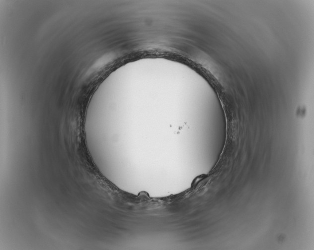 X0000096151111200802011226