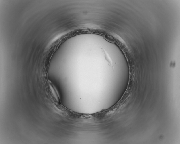X0000096151112200802011226