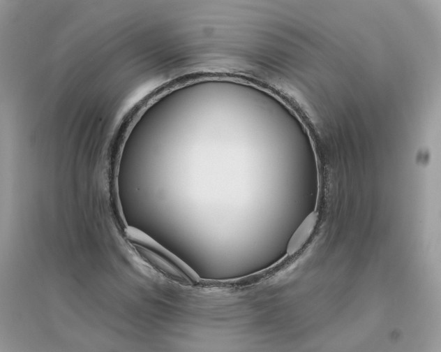 X0000096151114200802011226