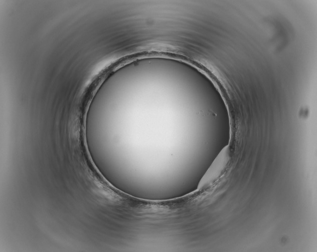 X0000096151115200802011226