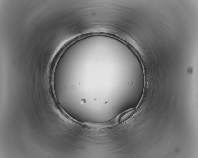 X0000096151116200802011226
