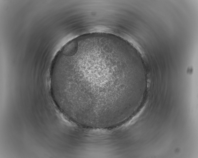 X0000096151117200802011226