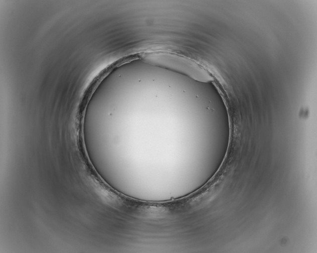 X0000096151119200802011227