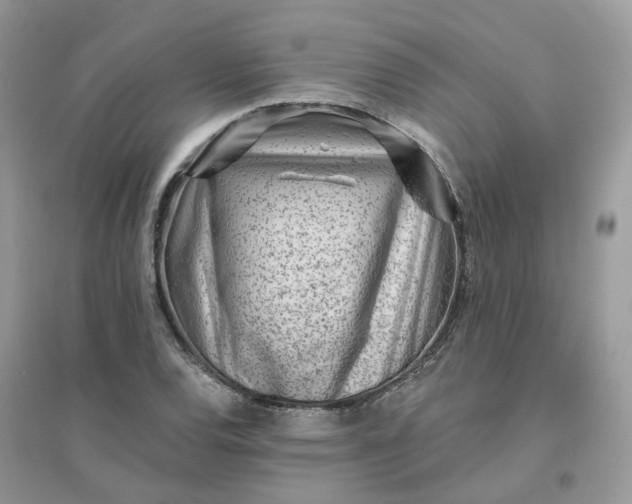 X0000096151120200802011227