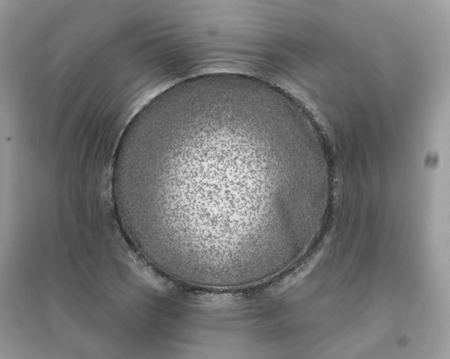 X0000096151121200802011227