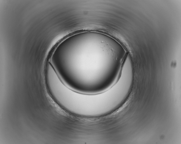 X0000096151122200802011227