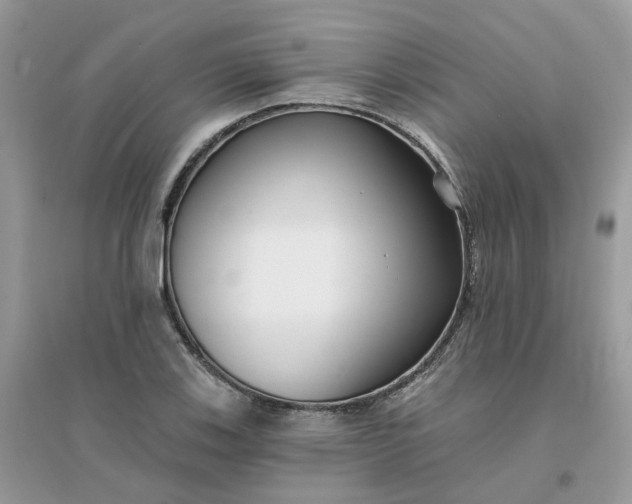 X0000096151123200802011227