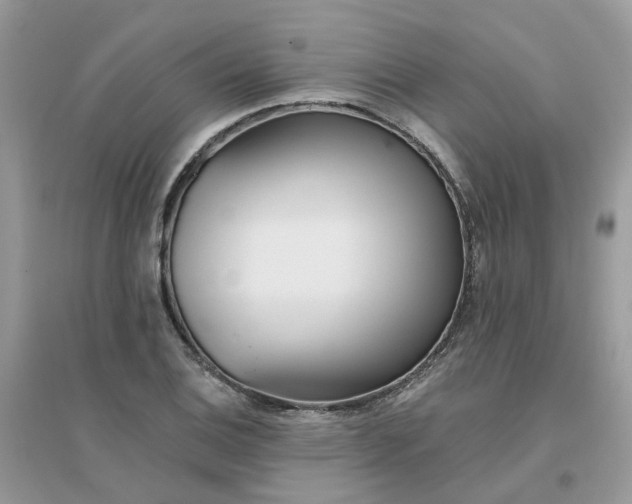 X0000096151124200802011227